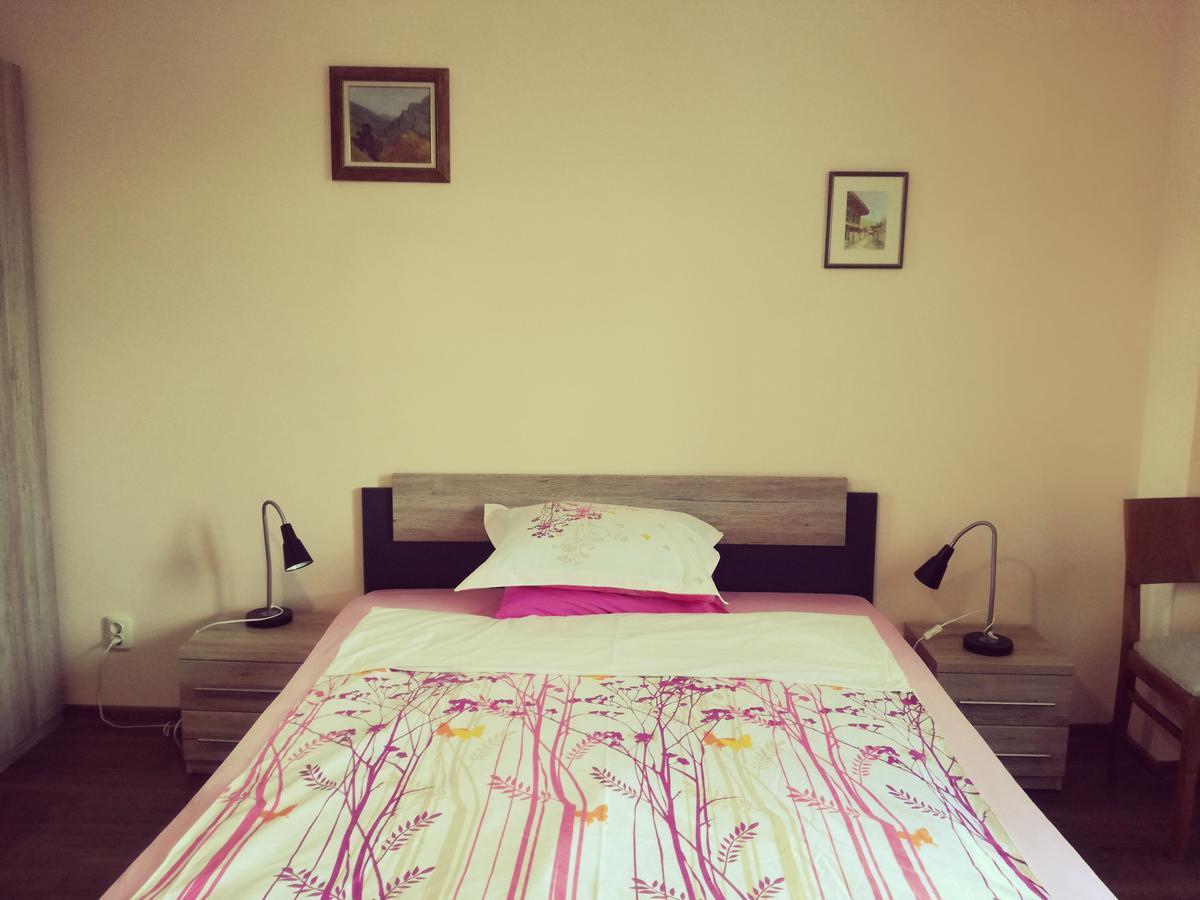 Apartment Durvenitza Sofia Zewnętrze zdjęcie